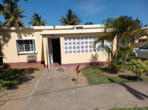 FelVit House